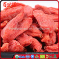 Las semillas de Goji goji berry donde comprar bayas frescas de goji